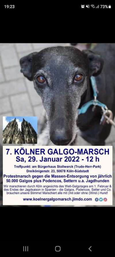 Windhunde - Treffen der besonderen Schönheiten
HERZLICH WILLKOMMEN-Beitrag-Bild