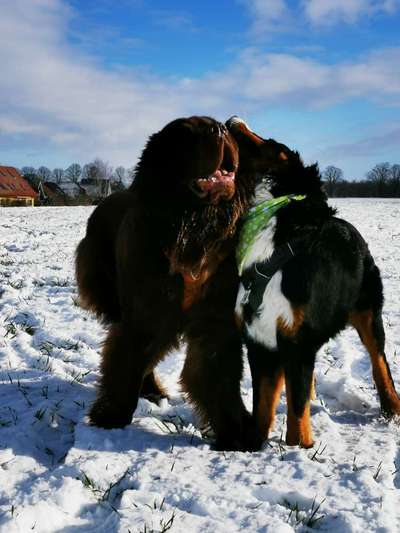 Challenge Nr. 15
Spiel im Schnee-Beitrag-Bild