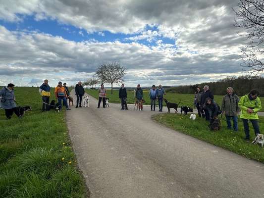 Giftköder-4 Tage (Trainings-)Urlaub mit Hund-Bild