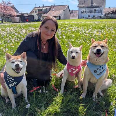Hundetreffen-Gassi Runde Barmbek-Süd-Profilbild