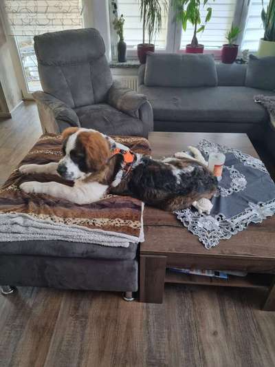 Verrückte Schlafpositionen-Beitrag-Bild