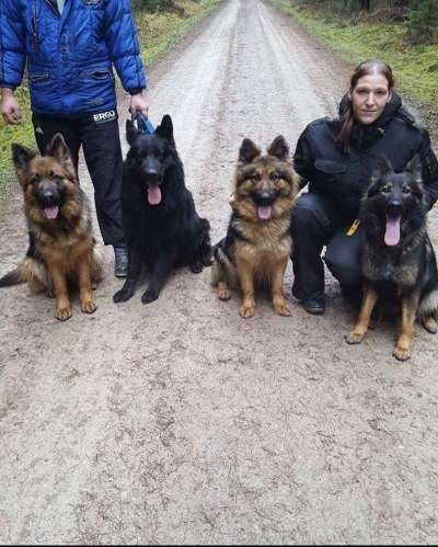 Vermehrung - Kasse statt klasse-Beitrag-Bild