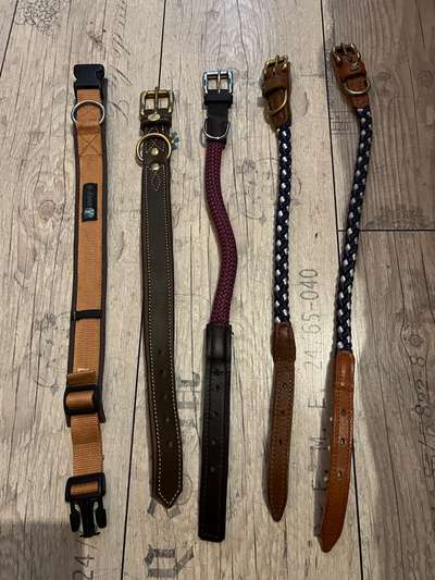 Halsbänder (Sabro/Anny-X/Sugar Dog)-Beitrag-Bild