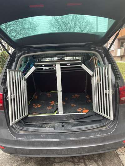 Hundebox Renault Megane Kombi-Beitrag-Bild