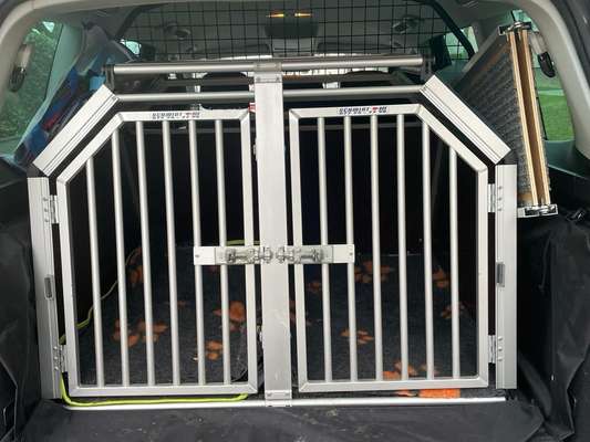 Hundebox Renault Megane Kombi-Beitrag-Bild