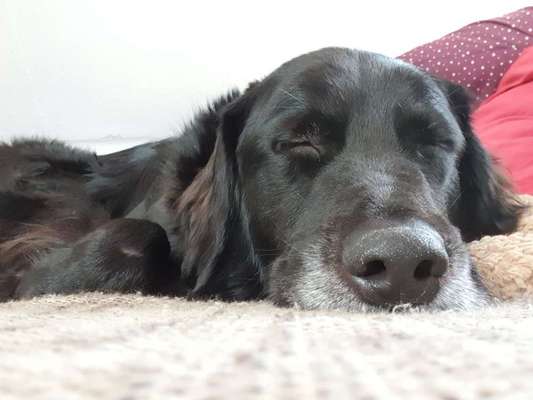 Fotochallenge Nr. 67: Euer Lieblingsbild-Beitrag-Bild