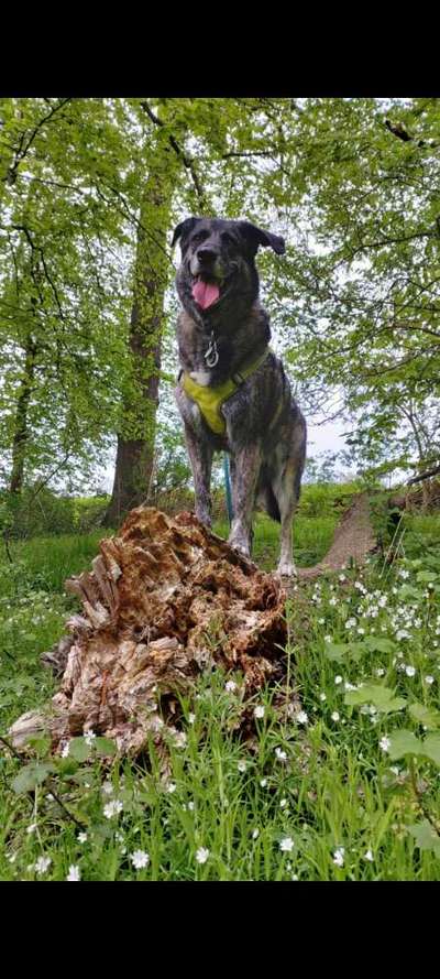 Theos Fotochallenge Nr. 3-Beitrag-Bild