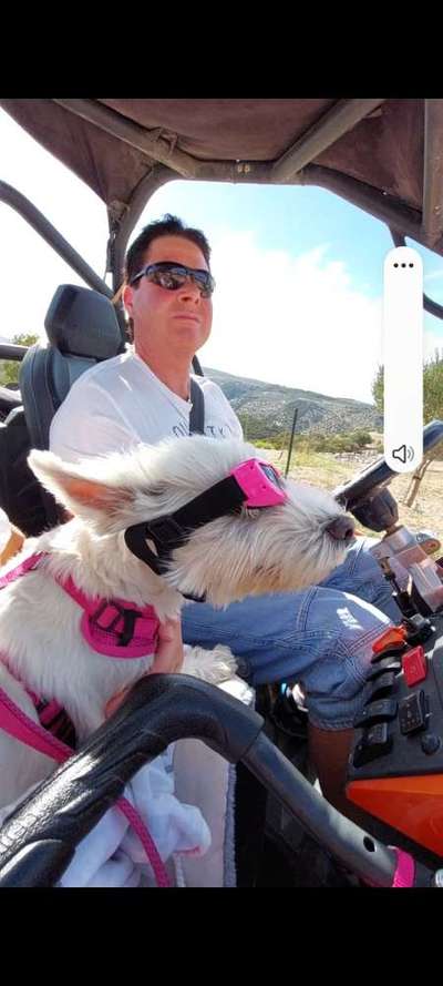 Fotochallenge 101:
On Tour-Beitrag-Bild