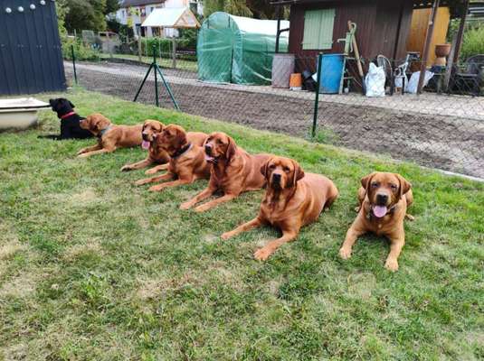 Handyfoto challenge Nr. 13: Waschlappen raus!-Beitrag-Bild