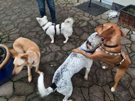 Fotochallenge 69-Beitrag-Bild