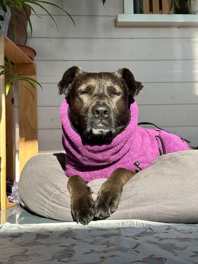 Farben Fotochallenge Sonnenlicht-Beitrag-Bild