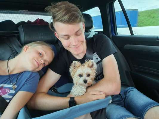 Transport  im Auto-Beitrag-Bild