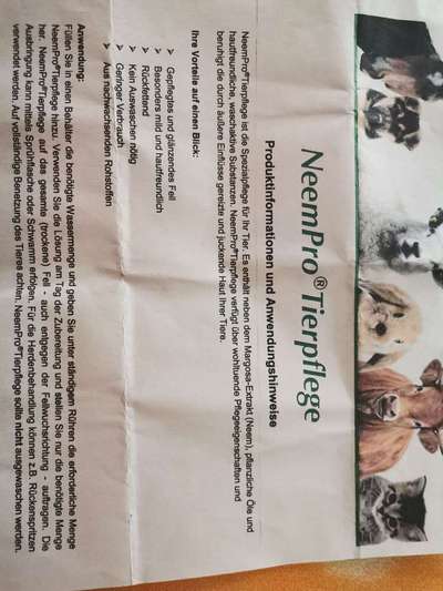 Bravecto-Beitrag-Bild