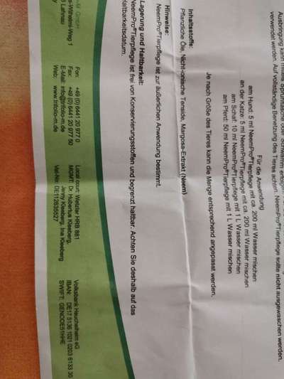 Bravecto-Beitrag-Bild