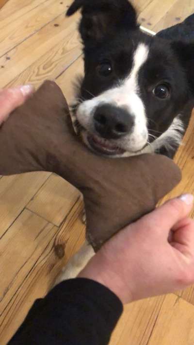 Lustige Grimassen & verrückte Posen-Beitrag-Bild