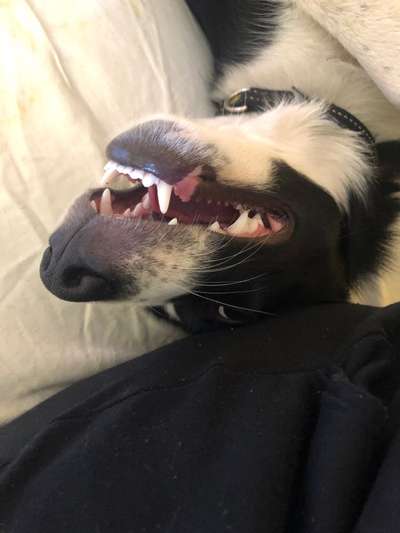 Lustige Grimassen & verrückte Posen-Beitrag-Bild