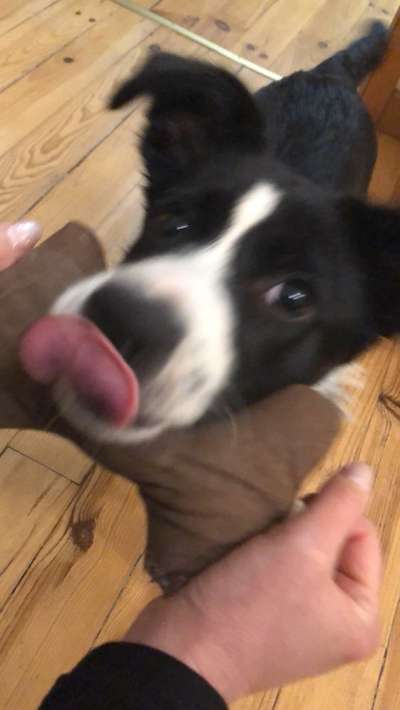 Un...scharf Bilder-Beitrag-Bild