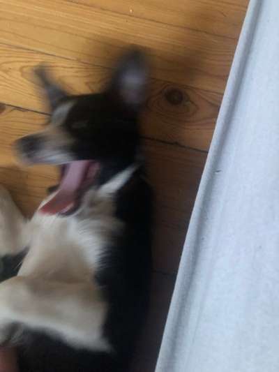 Un...scharf Bilder-Beitrag-Bild