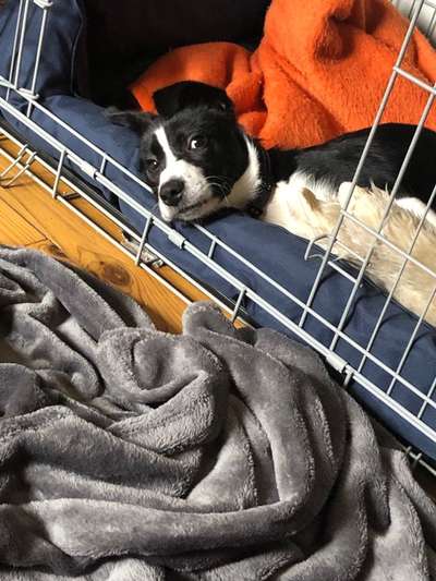 Lustige Grimassen & verrückte Posen-Beitrag-Bild