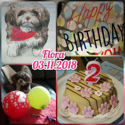 🎈 🦮 Happy Birthday! 🎁🐕-Beitrag-Bild