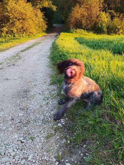 Un...scharf Bilder-Beitrag-Bild