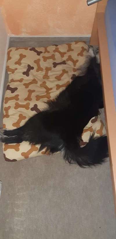 Challenge 21 - wo bin ich : )-Beitrag-Bild