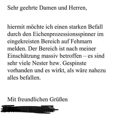 Giftköder-Eichen-Prozessionsspinner-Bild