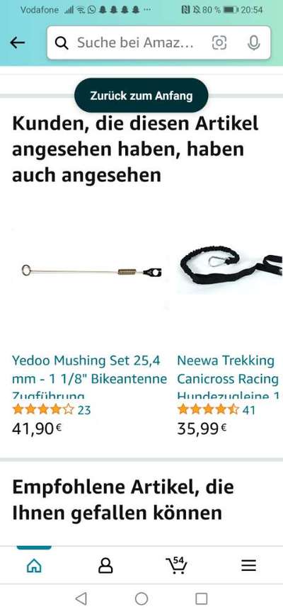 bikejöring-Beitrag-Bild