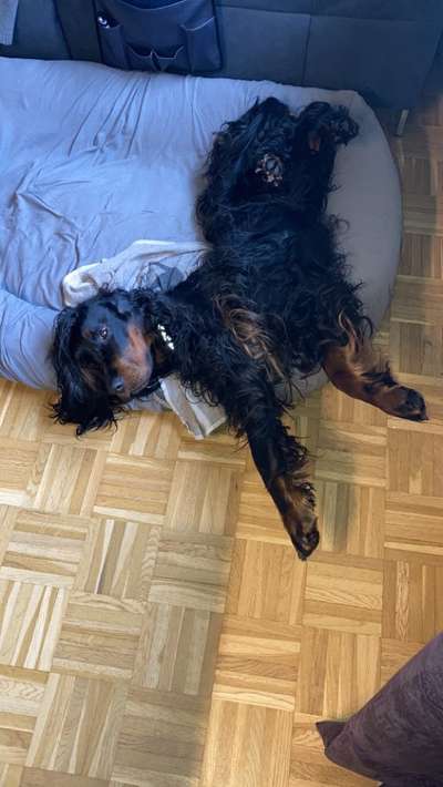 FOTO-Challenge  NR. 91: Die pure Entspannung-Beitrag-Bild