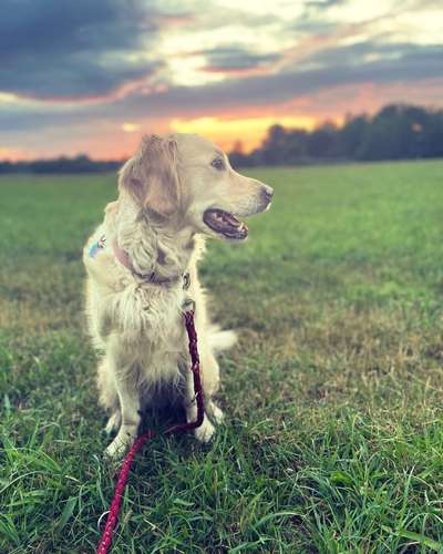 Fotochallenge Glanzbilder,du glänzt so schön-Beitrag-Bild