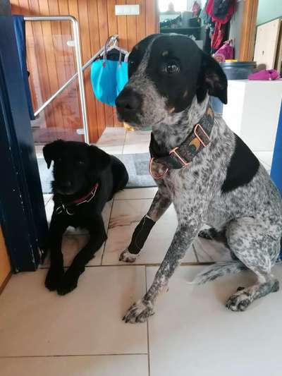 Ist das ein...?-Beitrag-Bild