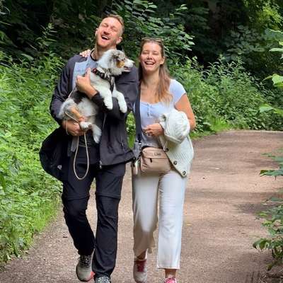 Hundetreffen-Milo sucht aktive Freunde-Bild