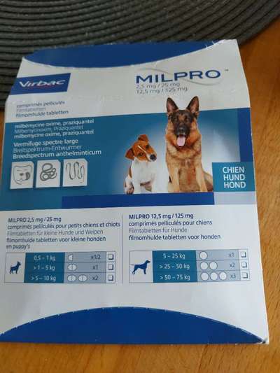 Wurmkur!-Beitrag-Bild