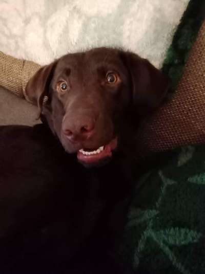 Fotochallenge Nr.122-Beitrag-Bild