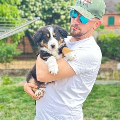 Hundetreffen-Welpentreffen in Dallgow & umgebung