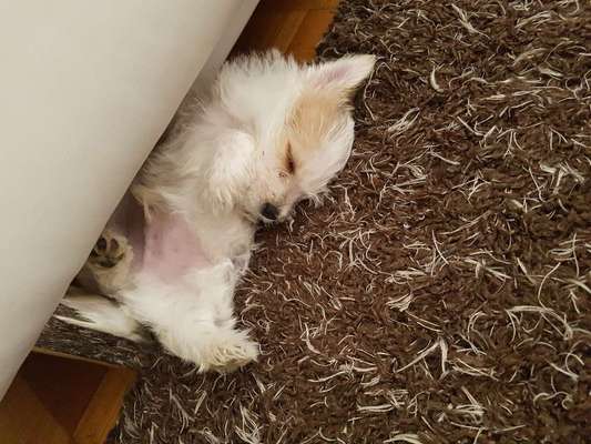 Die unbequemsten und lustigsten Schlafpositionen-Beitrag-Bild