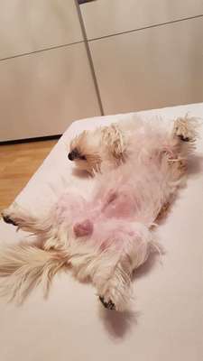 Die unbequemsten und lustigsten Schlafpositionen-Beitrag-Bild