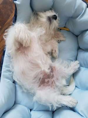 Die unbequemsten und lustigsten Schlafpositionen-Beitrag-Bild