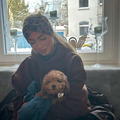 Hundetreffen-Welpentreffen Nähe Döhren/Südstadt