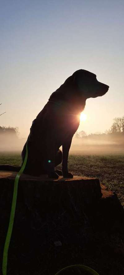 Farben Fotochallenge Sonnenlicht-Beitrag-Bild