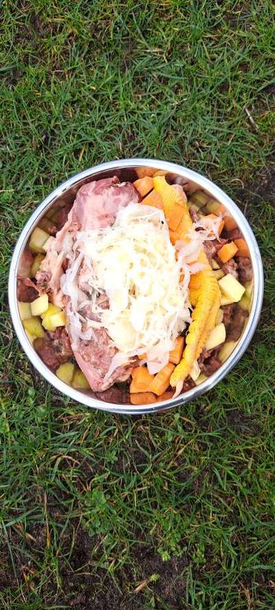 Zeigt her Eure Futternäpfe-Beitrag-Bild