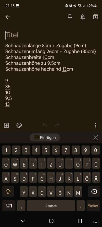 Wie sitzt mein Maulkorb / Maulkorb-Beratung-Beitrag-Bild