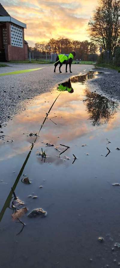 Was hat euch heute genervt?-Beitrag-Bild