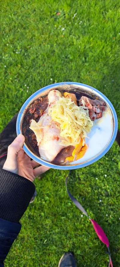 Zeigt her Eure Futternäpfe-Beitrag-Bild