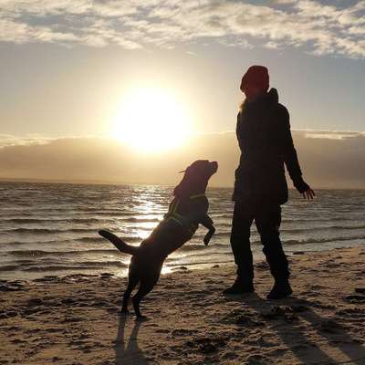 Hundetreffen-Gemeinsamer Spaziergang an der Leine