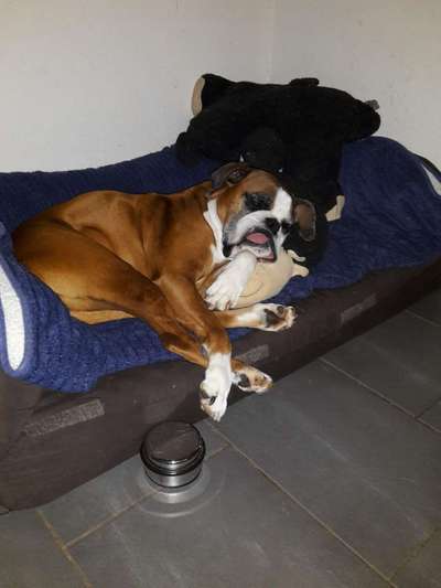 Fotochallenge Nr. 67: Euer Lieblingsbild-Beitrag-Bild