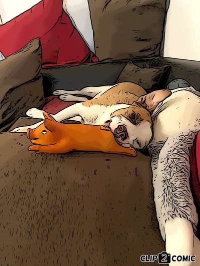 Der Hund als Cartoon-Beitrag-Bild