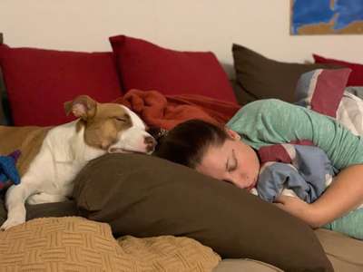 Euer schönstes Bild mit eurem Hund gemeinsam!-Beitrag-Bild