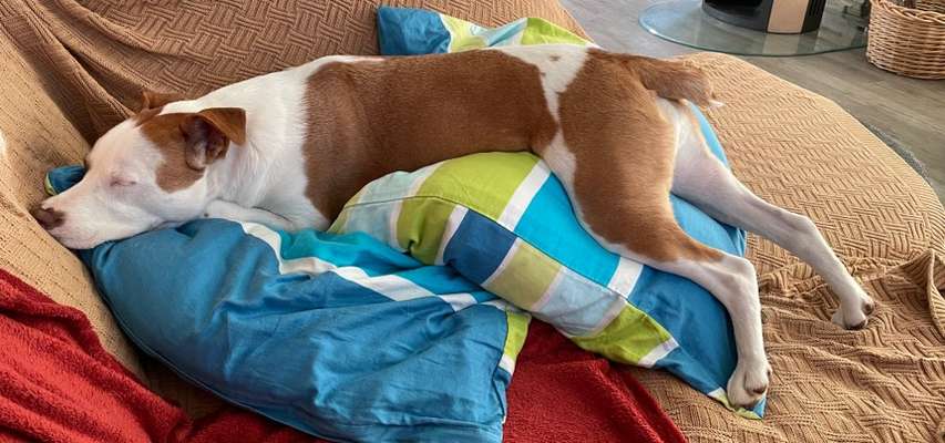 Die unbequemsten und lustigsten Schlafpositionen-Beitrag-Bild