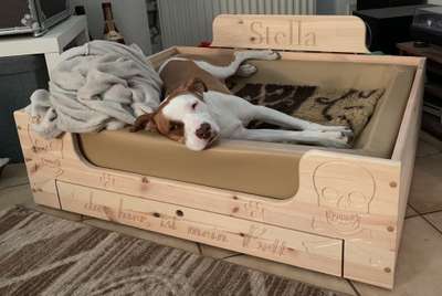 Welche Hunderasse-Beitrag-Bild